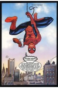 Amazing Spider Man (1999)  13  VFNM